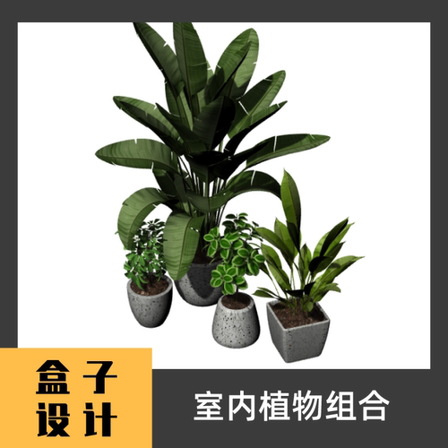 室内植物盆景组合3D模型建模渲染 犀牛Rhino c4d maya 3dmax素材