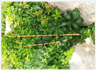 竿挂 檀木 禧玛 达瓦 伽马 并继支架头 羊角头 江户 并继竿 玉柄