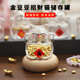 高硼硅玻璃迷你猫咪攒金豆子财福猫存金豆豆收纳存储瓶节日礼品