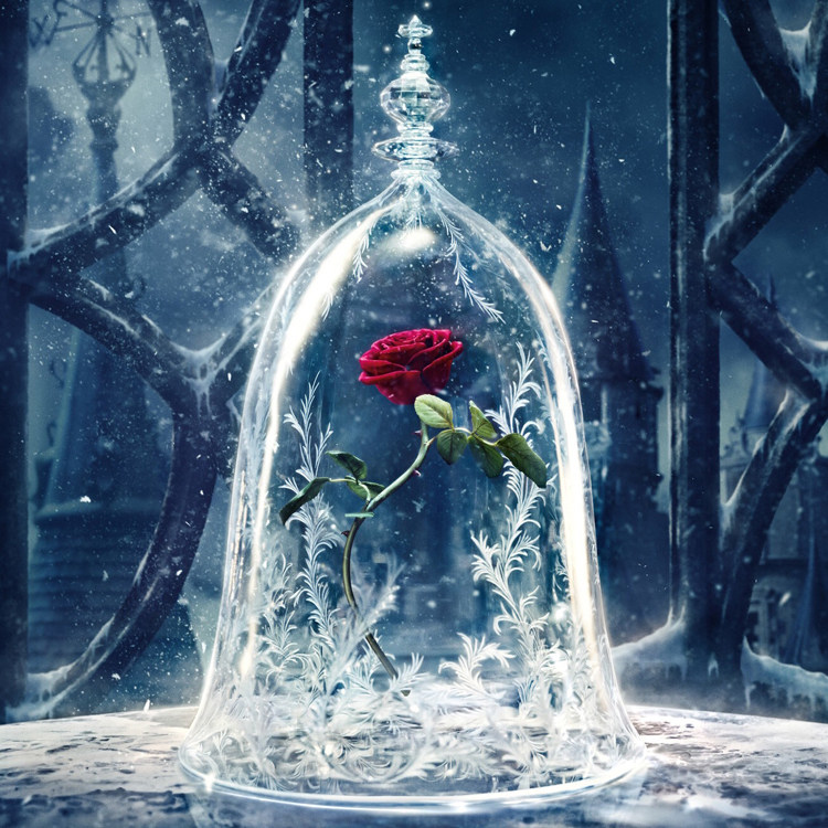 包邮美女与野兽款玫瑰花展示玻璃罩周边永生花防尘罩情人创意摆件