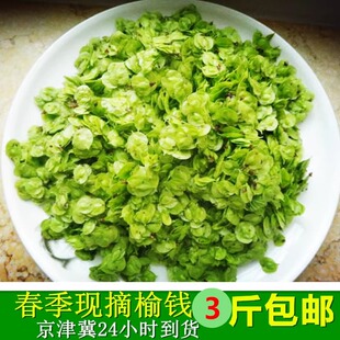 2026现摘新鲜榆钱槐米洋槐花榆钱儿蔬菜榆钱子野菜 3斤包邮