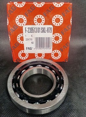 F-239513.01 SKL-H79  差速器轴承