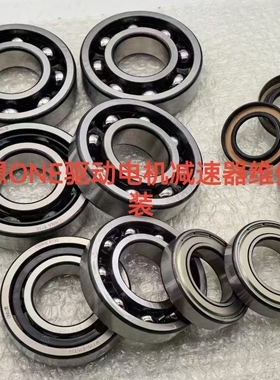 理想ONE  吉利帝豪EV500 120KW 威马EX5 160KW减速器轴承维修套装