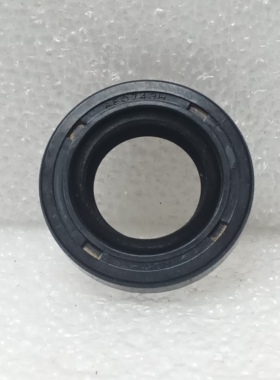 AE0743H 48029-H5000  尺寸 17X30X7mm 汽车油封
