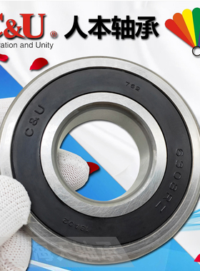 人本高速电机轴承6308 6309 6310 6311 6312 6313 6314 6315RZ Z