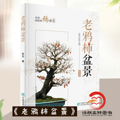 彭达 中国林业出版 繁殖嫁接造型扦插 养护技巧 老鸦柿盆景 1475 老鸦柿基础知识 制作要领等盆景书籍 社