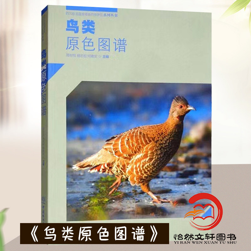 鸟类原色图谱 0152 周材权 杨志松 何晓安 主编 四川卧龙国家*自然保护区系列丛书 中国林业出版社