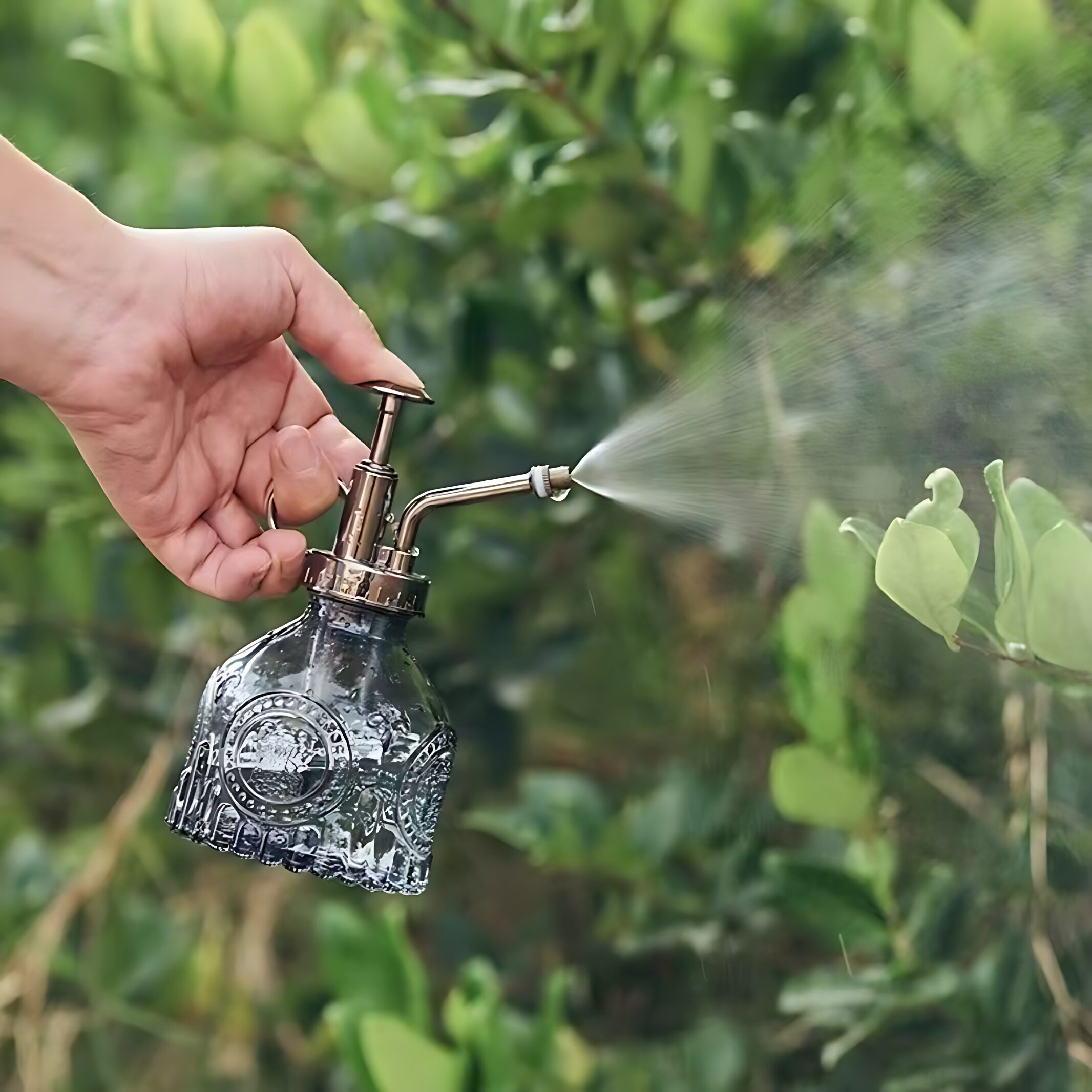 法式气压浇花喷壶家用简约洒水壶
