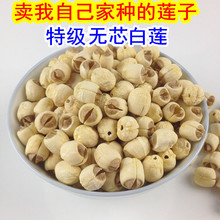 特级纯手工无芯白莲 500g 江西广昌建宁农家干货特产粉糯去心莲子