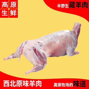 西北高原新鲜整只全羊羊腿羊排甘肃青海祁连山藏羊肉30斤非内蒙