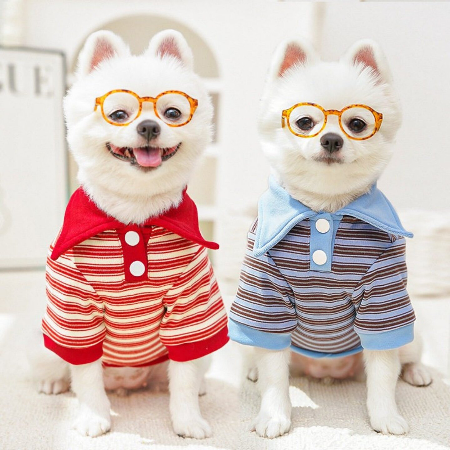 冬季保暖条纹可牵引中型犬服装