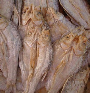 野生麻鲢小白鱼干一斤500克 咸鱼一条15厘米左右 鸡西密山兴凯湖