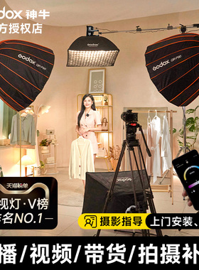 Godox神牛LE200Bi/LE300Bi直播补光灯拍摄专用拍照摄影棚灯主播带货球形深抛背景灯LED柔光视频打光常亮灯