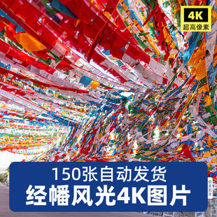 高清4K五彩经幡彩旗风马旗大草原西藏民族藏地风俗JPG图片素材