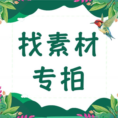 差价补拍 素材代找 店里没有上架的素材PPT word GIF动态图片素材