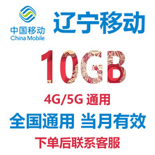 辽宁移动流量充值10GB手机流量流量包当月有效4G5G全国通用月包