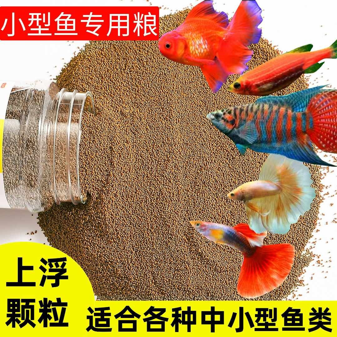 高蛋白小型鱼通用鱼粮孔雀鱼饲料上浮型小颗粒斑马鱼金鱼斗鱼鱼食图片