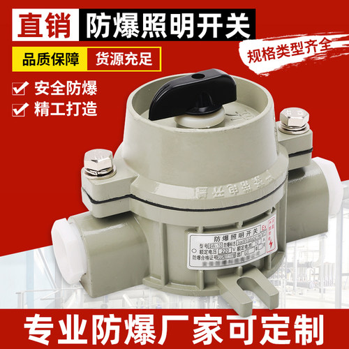 防爆开关SW-10bzm防爆照明开关
