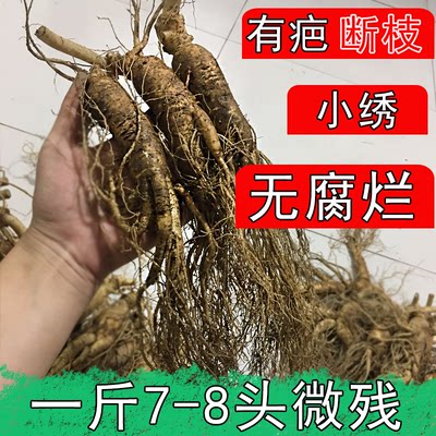 长白山新鲜人参7-8支残枝大