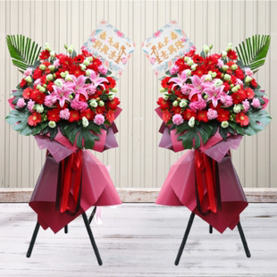 南京建邺区中央商场嘉业国际拉德芳斯风情街集庆门开业花篮庆典