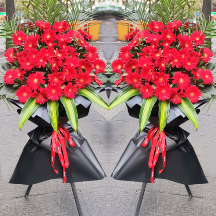 福州马尾名城港湾/江滨锦城君竹路天马山公园开业花篮庆典乔迁