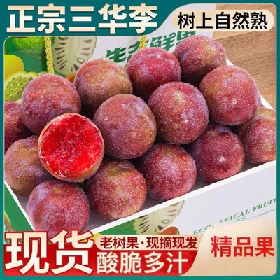 现货红心三华李李子新鲜水果孕妇鲜果