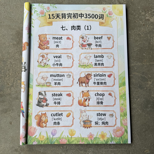 初中英语3500词15天背完必背单词分类54类语法体系漫画版组合
