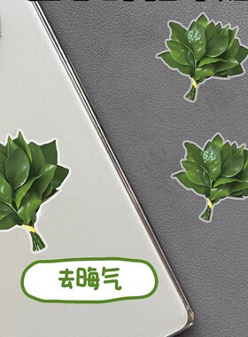 赵露思同款【去晦气】柚子叶原创设计转运冰箱贴手机贴电动车贴