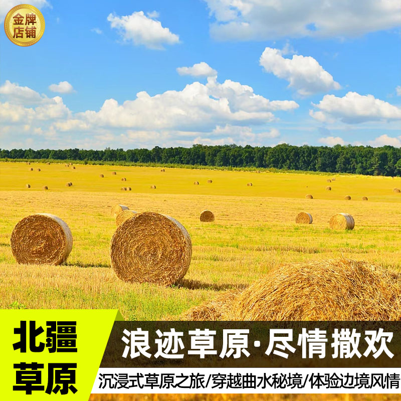 呼伦贝尔旅游内蒙古大草原额尔古纳黑山头满洲里包车5天4晚私家团