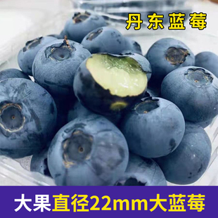1斤顺丰 丹东新鲜蓝莓L25脆甜蓝莓 包邮