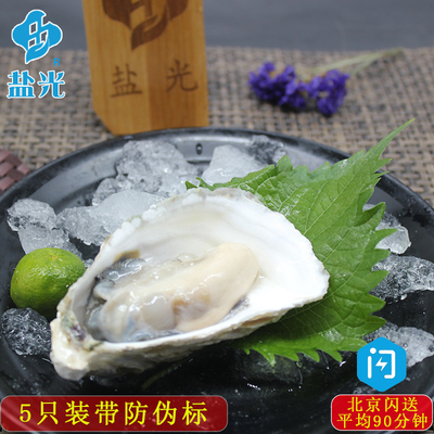 法国吉拉朵Gillardeau 5只装原装生蚝水产贝壳牡蛎N1N0N2非吉拉多