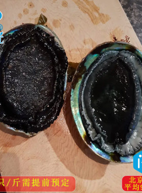 新西兰鲜活蓝壳鲍鱼500g5-7只黑金鲍鱼 需要预约贝类火锅食材