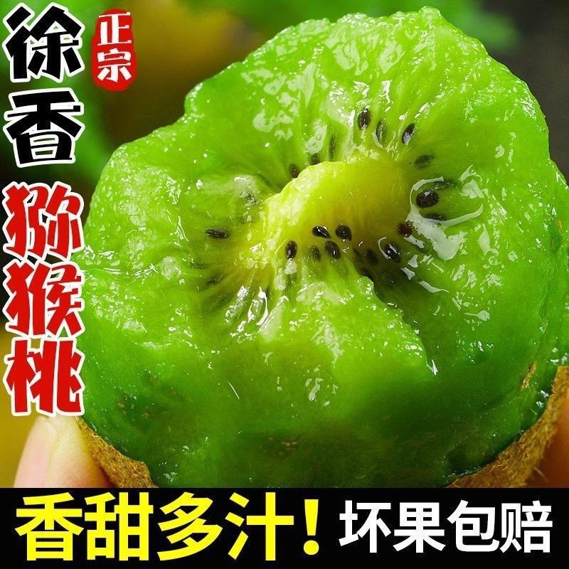 陕西眉县猕猴桃徐香绿肉弥胡桃新品瑞玉精品大果绿心狝猴桃奇异果