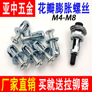 花瓣膨胀螺丝中空壁虎空心铁皮钢板汽车牌照膨胀丝免焊接拉铆螺母