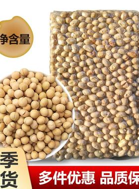 香酥熟黄豆500g即食干炒原味办公室零食农家发批东北特产大豆杂粮