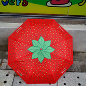 红色草莓 物语出日本清新折叠女孩子全自动晴雨伞少女可爱清新