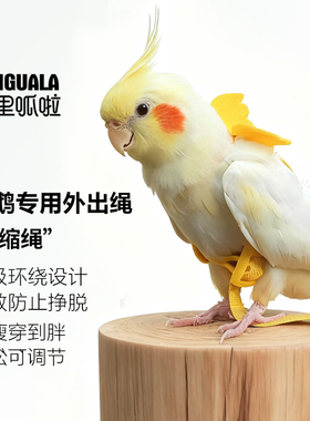 鹦鹉放飞绳超轻背带式不伤脚玄凤虎皮鸟外出遛鸟牵引飞行溜鸟神器