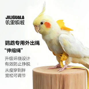 鹦鹉放飞绳超轻背带式不伤脚玄凤虎皮鸟外出遛鸟牵引飞行溜鸟神器