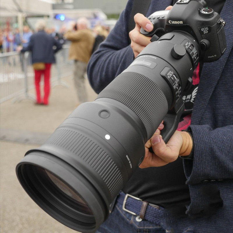 Sigma适马500mm f4 DG OS HSM Sports全画幅长焦单反镜头拍鸟自动