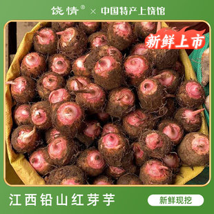 江西红芽芋上饶铅山特产2025年新鲜毛芋小芋仔芋艿粉糯软滑香芋