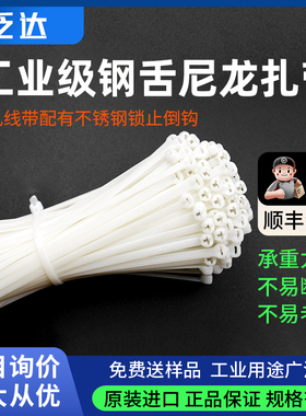 PANDUIT美国泛达进口钢舌尼龙扎带线BT2S-M白色不锈钢钳片束线带