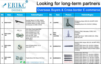 柴油共轨喷油器阀板ERIKC
