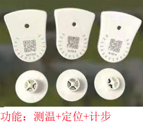 2.4G通信猪牛羊智能测温计步耳标续航18个月电子激光耳标号牌识别
