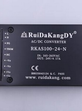 RKAS100-24-N 电源模块 RKAS100-24-N -