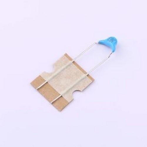 DE2B3SA101KN3AX02F 安规电容 等级:X1,Y2 100pF ±10% 300V 插件