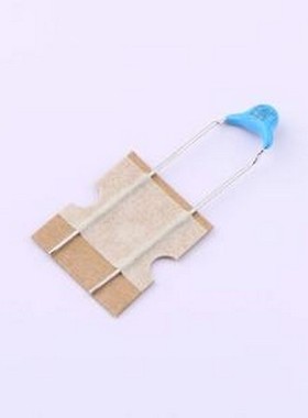 DE2B3SA101KN3AX02F 安规电容 等级:X1,Y2 100pF ±10% 300V 插件