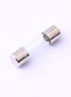 STC1100 一次性保险丝 玻璃管式 1.0A 250V 慢断5*20保险丝 插件,
