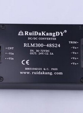 RLM300-48S24 电源模块 RLM300-48S24 -
