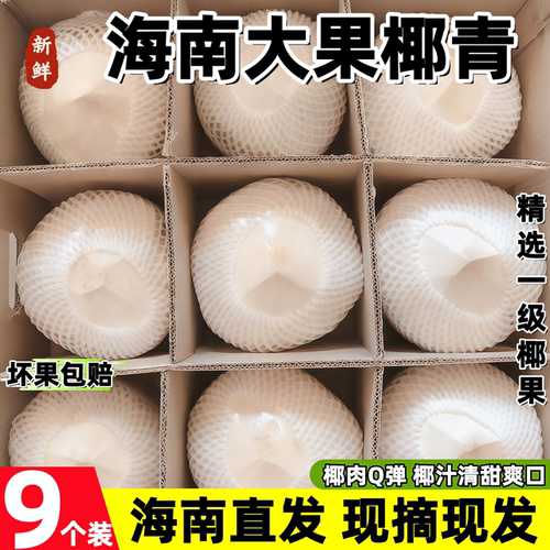 海南新鲜椰子椰青当季大果嫩椰子蛋去皮椰子汁孕妇补羊水专用现摘