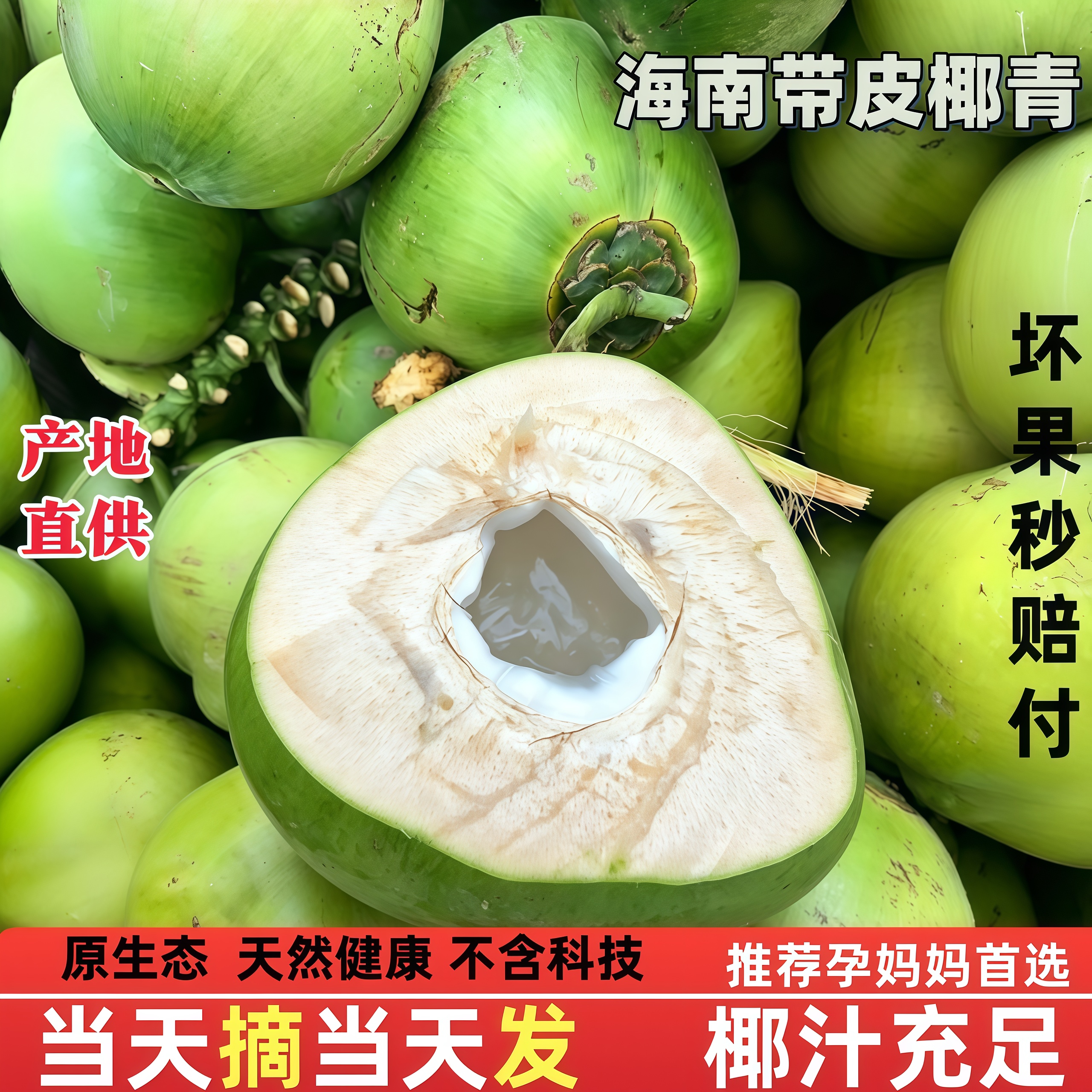 海南文昌新鲜椰子椰青带皮椰子蛋孕妇补羊水专用大大果当季现摘